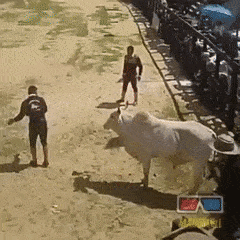 b8698e09127cfc8841ea280fb51d5855_1550200938_2.gif