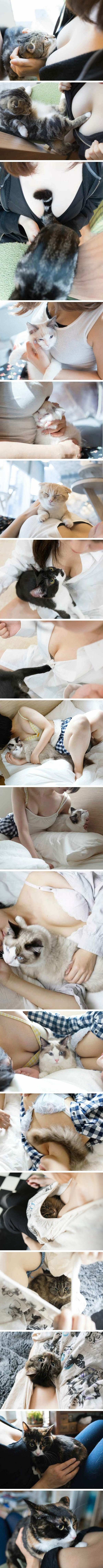 2a3fe5661d9f1ed6d0011374af3532dc_OAg6Zwl7Z4fy9JR4KXQtceRHtHEKbaK2.jpg