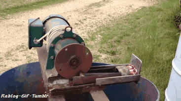 160eb2157251a316.gif