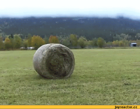160eb2463681a316.gif
