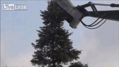 160eb2419df1a316.gif