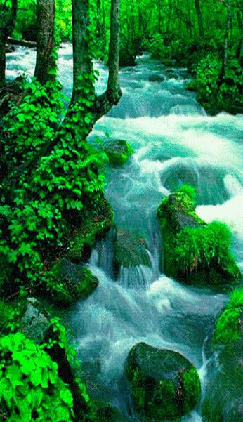234F1E425753A5AA1DDD99