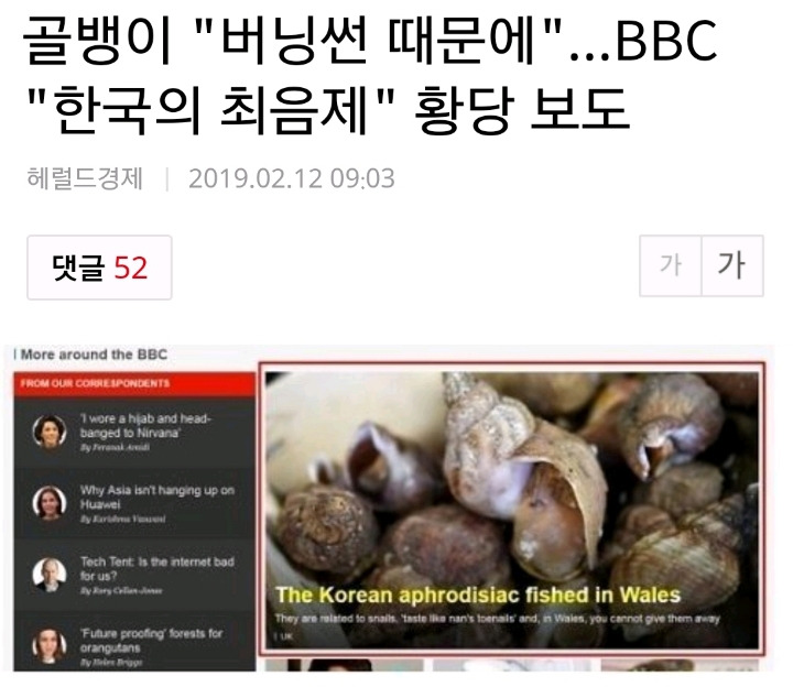 버닝썬 때문에 황당 보도