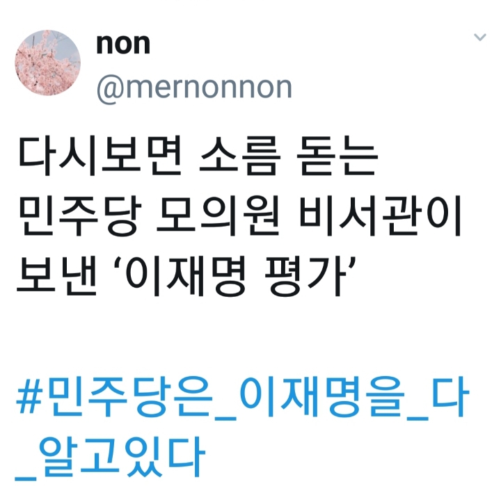 민주당 모 의원 비서관의 이재명 평가