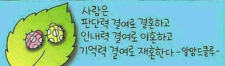 결혼에 대한 명언