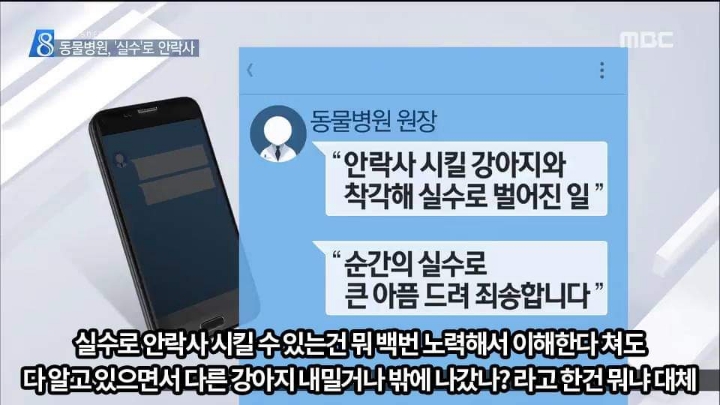 충격적이었던 수의사의 실수