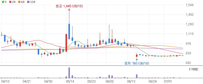 이재명 테마 관련주 비비안(002070)