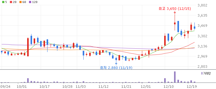 이재명 테마 관련주 포메탈(119500)