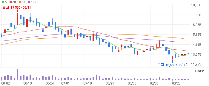 디아이 차트 분석