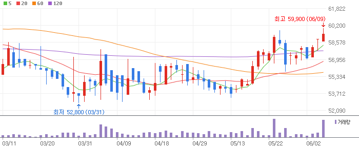 금비 차트 분석