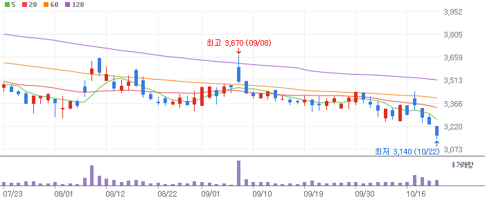 에스와이 차트 분석
