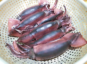 오징어 한마리를 통체로~~ 오징어 통찜