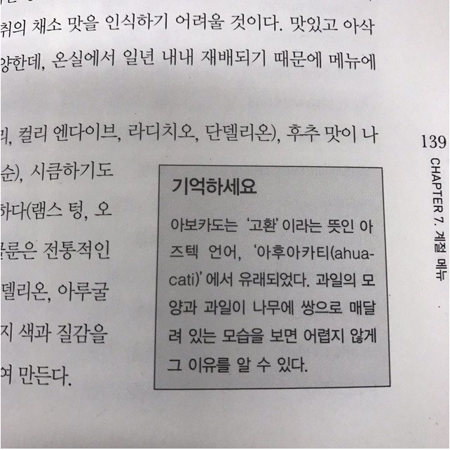 아보카도의 뜻을 알고 있나요?
