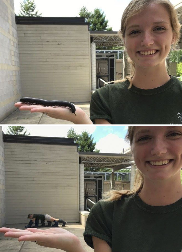 유쾌한 동물원 직원들