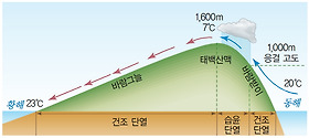  다음 그림과 같은 국지풍에 대한 설명으로 옳지 않은 것은?