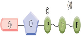  그림은 ATP의 구조를 나타낸 것이다. 이에 대한 설명으로 옳은 것을 〈보기〉에서 모두 고른 것은?