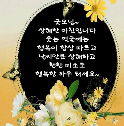 고운글 이미지