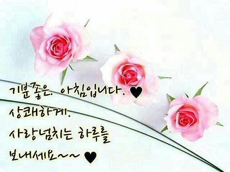 고운글 이미지