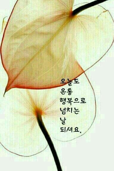 수리수리 마수리 이미지