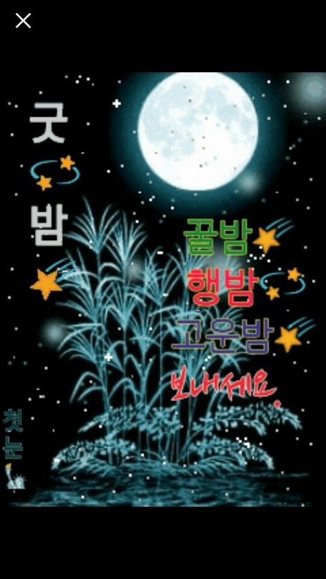가을의 느낌이 더하는 밤 오늘도 좋은 밤 보내세요..............*^&^*
