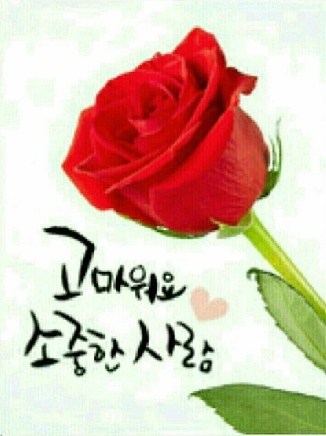 목요일 오늘도 좋은 일이 일어납니다.
