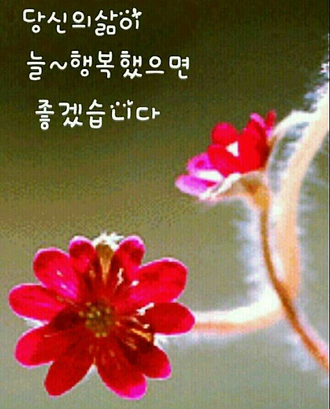 고운글 이미지