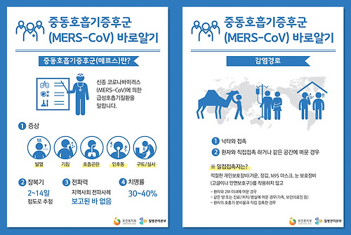 메르스 증상 및 감염경로 (©질병관리본부)