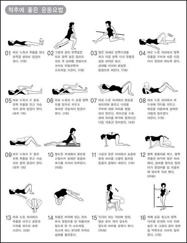 허리디스크 치료에 좋은 운동 추천
