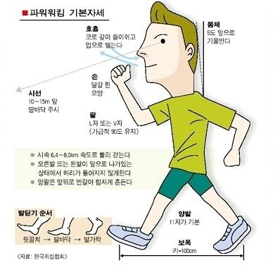 복부비만이 심각한데요. 뱃살빼기 할수 있는 다이어트식단 다이어트 ...