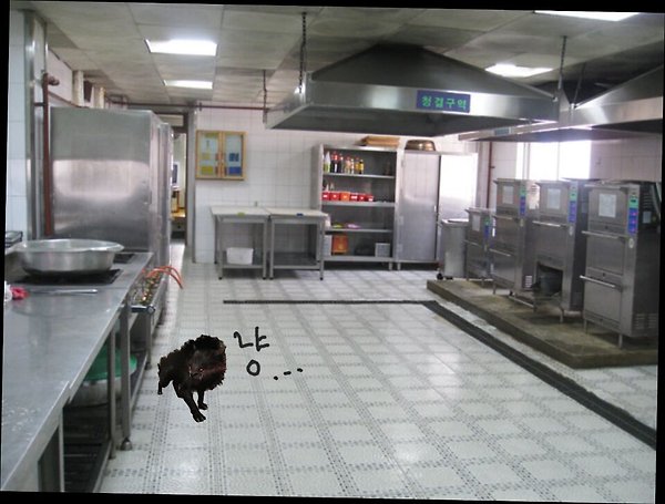 충성 이미지