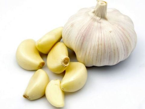 마늘의 뜻이 뭔가요?