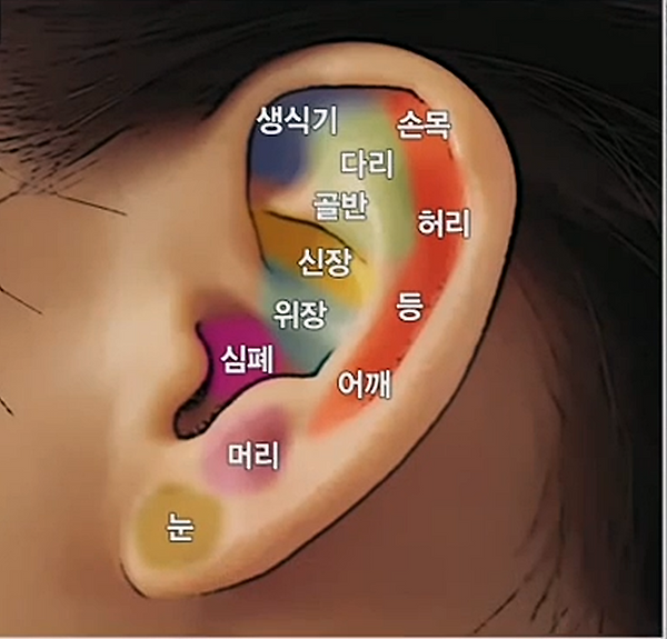 축산물자양직매장 이미지