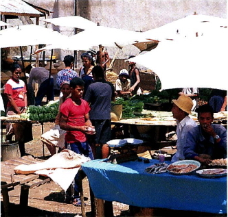안타나나리보에 있는 가장 큰 노천 시장