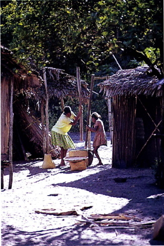 쌀을 찧고 있는 마을 주민. 마다가스카르의 주산업은 농업으로 아프리카에서는 드물게 벼농사를 짓는다.