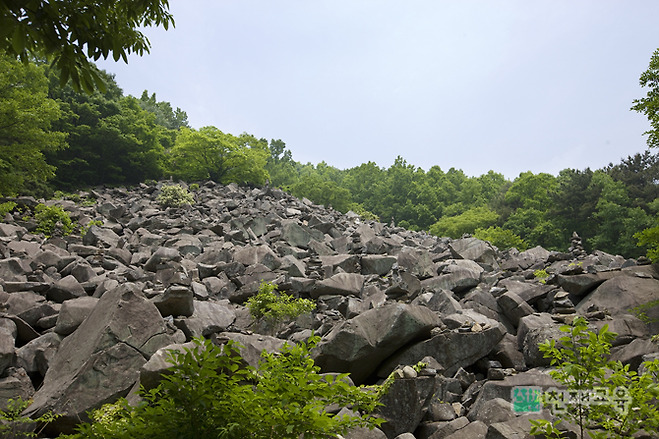 비슬산