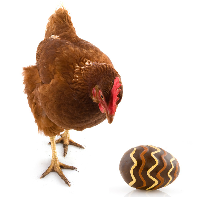 닭과 달걀
