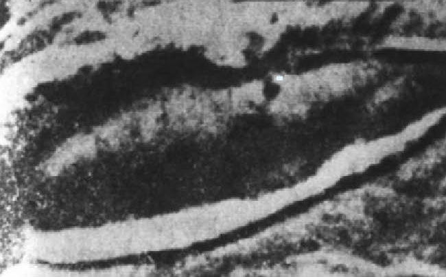 아라라트 산 상공에서 터키 조종사에 의해 촬영된 노아의 방주로 추정되는 물체