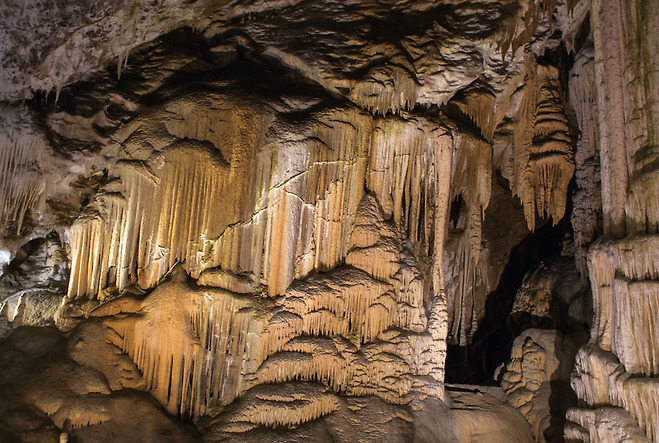 포스토이나 동굴(Postojnska Jama)