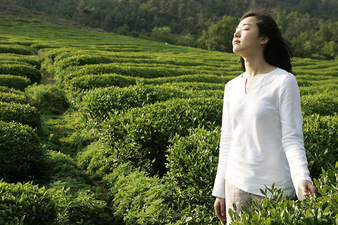 ?fname=http%3A%2F%2Fcfile89.uf.daum.net%2Fimage%2F14110210A92FE05AA5A42F