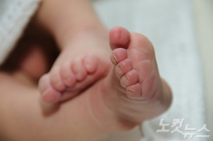 (사진=스마트이미지 제공)
