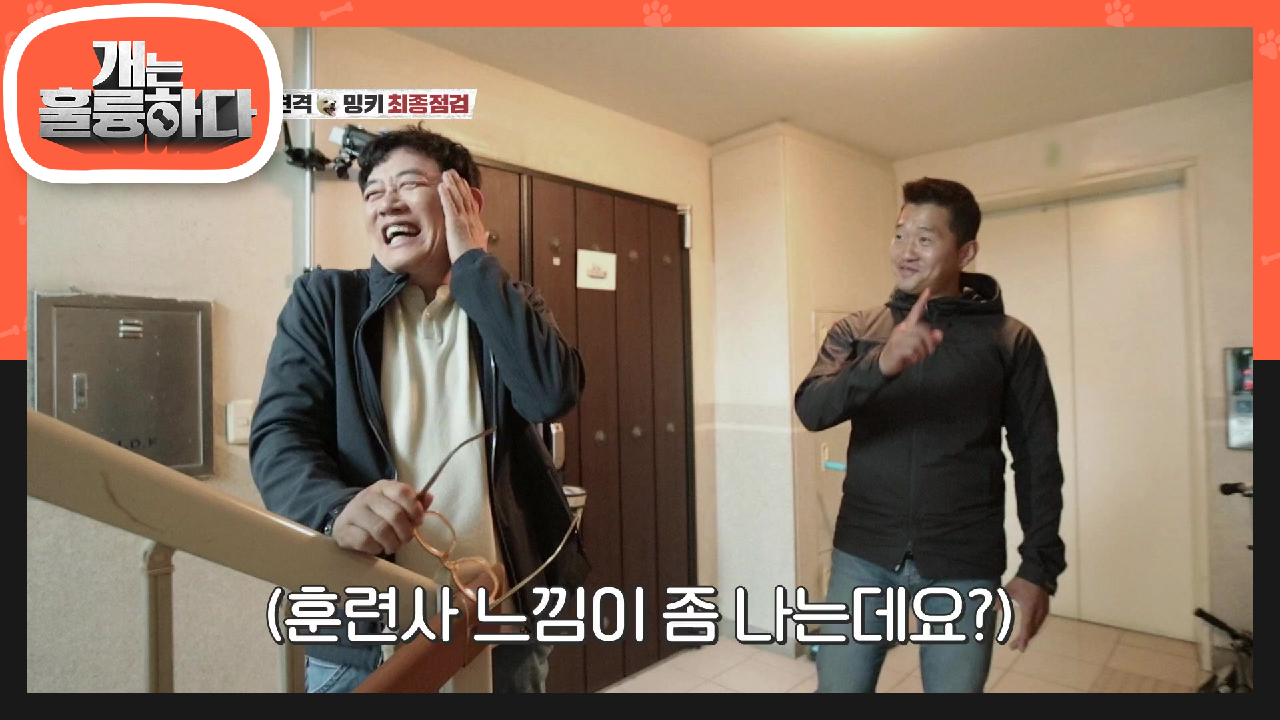 이제는 훈련사 대우를 받는 규제자?! 현장감 충만한 훈련사☆ | KBS 210524 방송