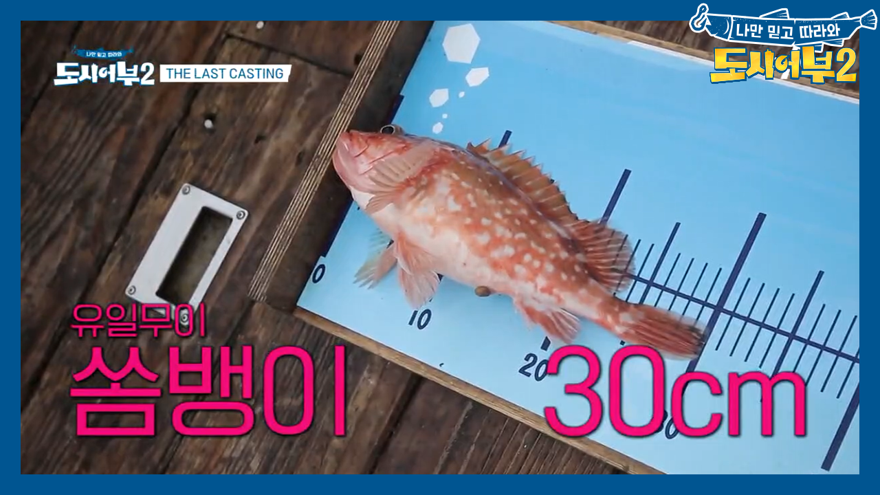 ♨분위기 후끈후끈♨ 열기는 필요 없다! 막상막하 쏨뱅이 대결