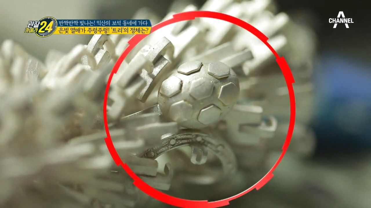 은빛 열매가 주렁주렁?! 귀금속 동네 '트리'의 정체는?!