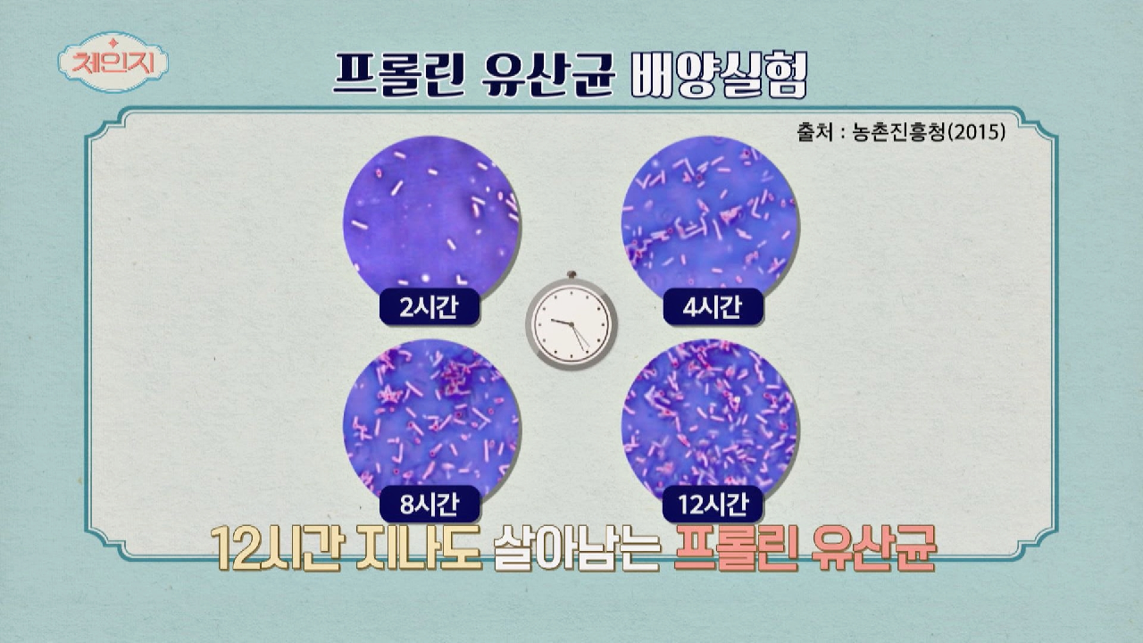 유산균 생존율 높여주는 보디가드 &#39;프롤린 유산균&#39; #협찬