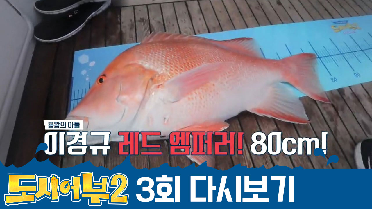 ★소원 성취★ 용왕의 아들 이경규, 8짜 레드 엠퍼러 잡았다~(감격)