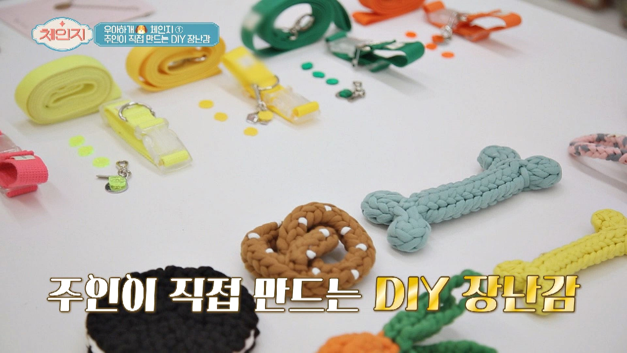 내 반려동물을 위해 직접 만드는 [DIY 장난감]