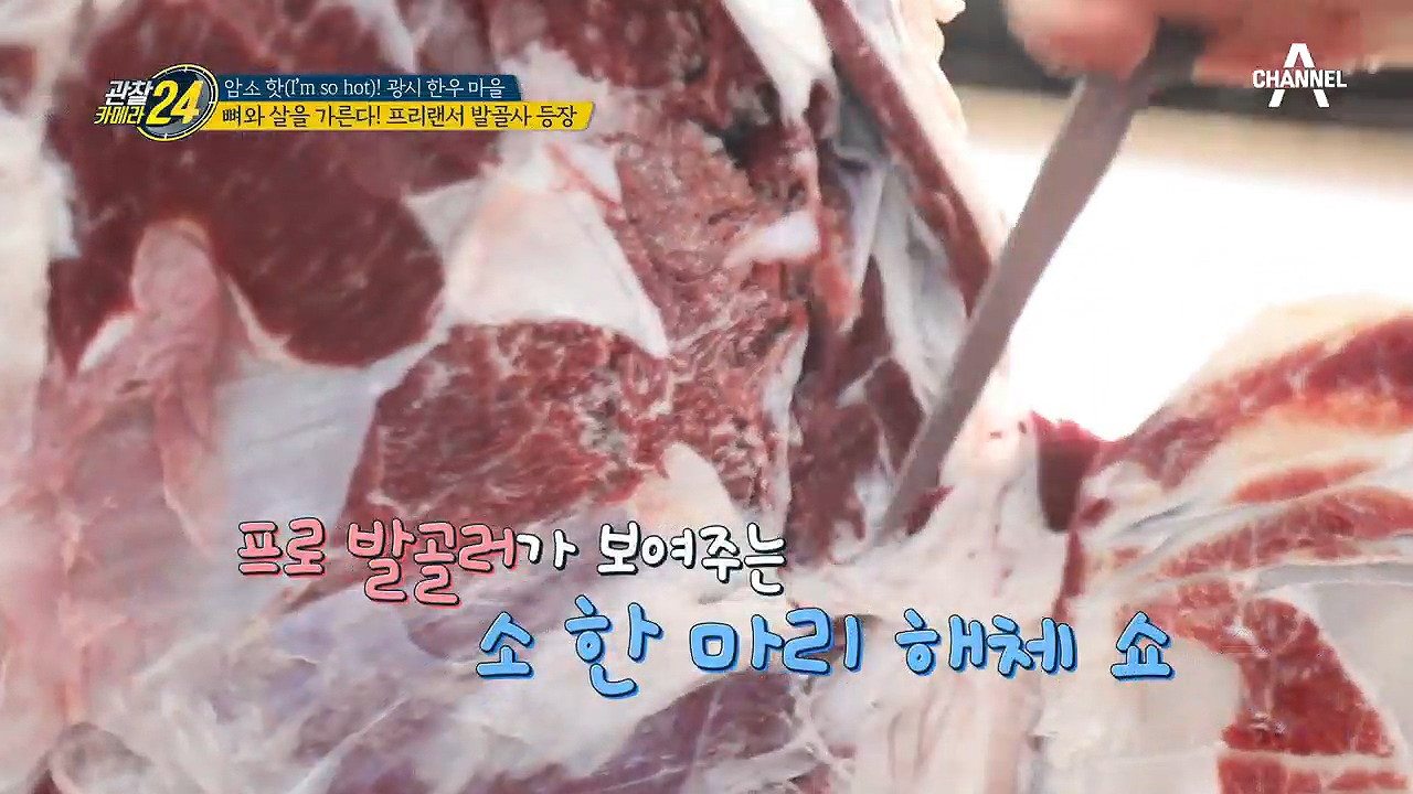 정육점을 뒤집어 놓으셨다! 전문 발골사의 소 한 마리 해체SHOW~!