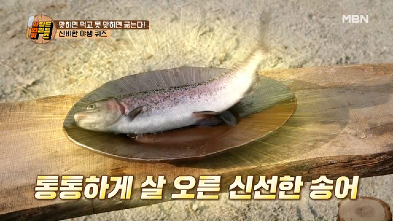 식재료 쟁탈전, 신비한 야생 퀴즈~! 침 꼴깍~ 넘어가는 비주얼의 곤드레나물밥과 송어 튀김의 주인은 누구?! MBN 210216 방송