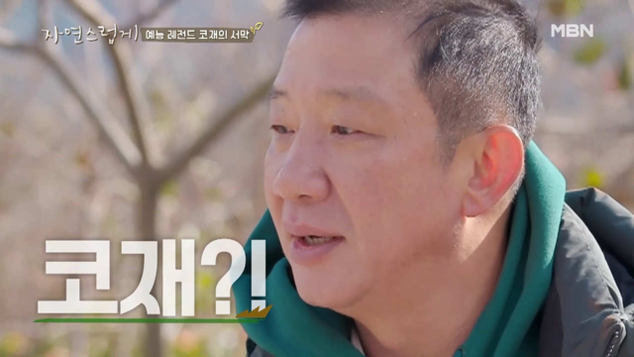 예능 레전드 코재 탄생기(a.k.a 농구공 머릿돌의 탄생)