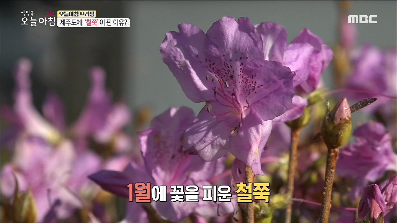 thumb.png?ts=1578893619